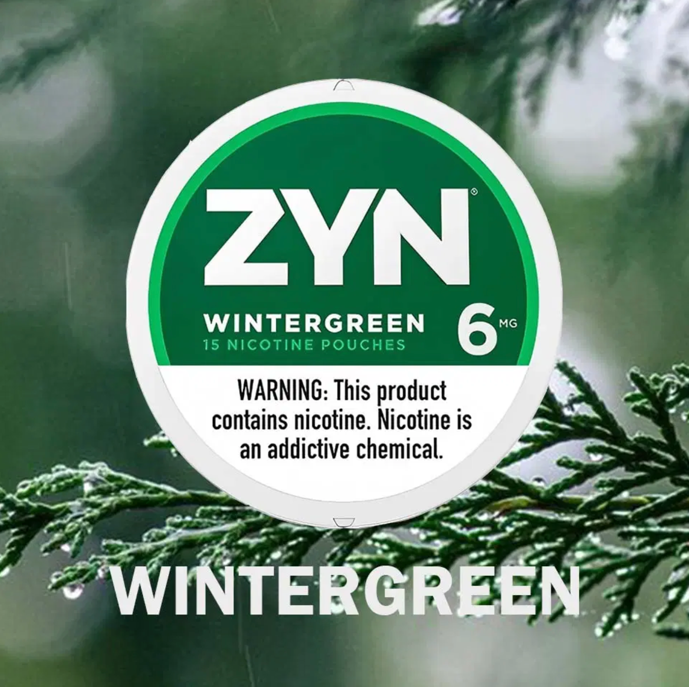 Zyn - Wintergreen 6mg