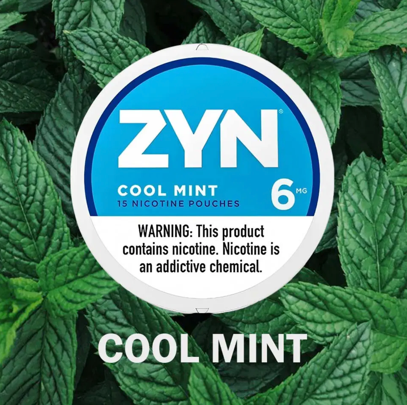 Zyn - Cool mint 6mg