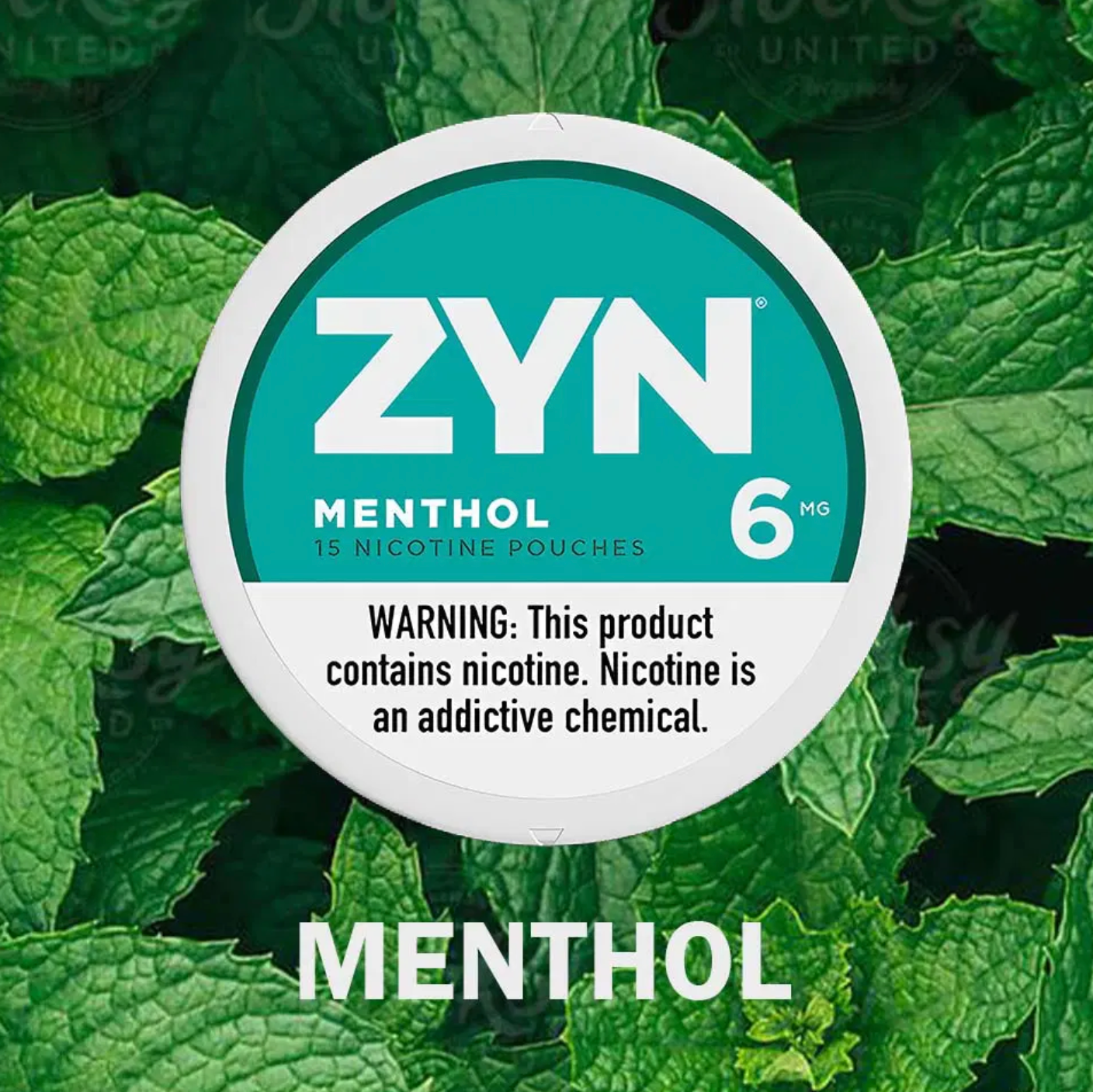 Zyn - Menthol 6mg
